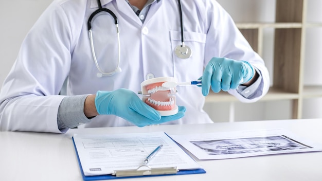 Midsection of dentist brushing dentures at hospital