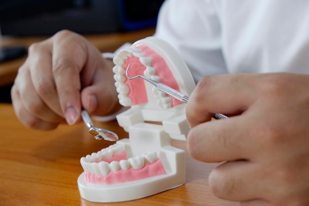 Midsection of dentist with dentures and angled mirror at desk in medical clinic