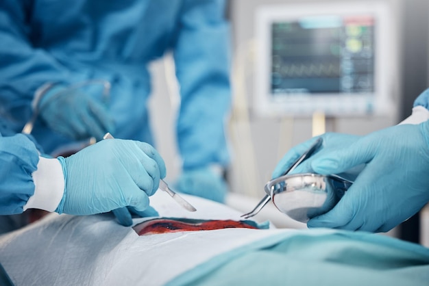 Midsection of doctor examining patient in hospital