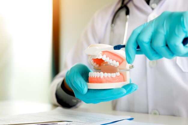 Midsection of doctor holding denture