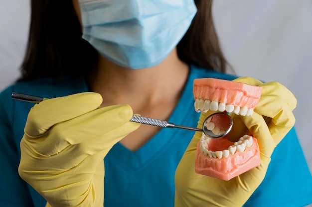 Midsection of doctor holding dentures