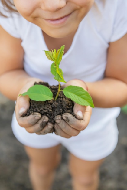 手で植物を握っている女の子の中間部分