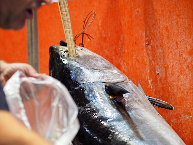 Midsection of man against fish at market