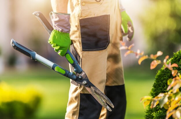 Photo midsection of man cutting plants in garden