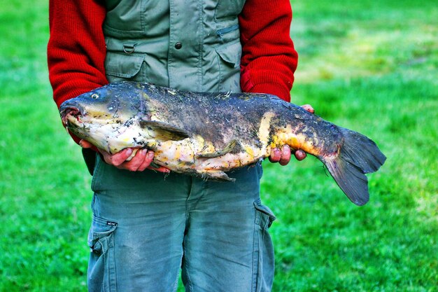 Midsection of man holding fish