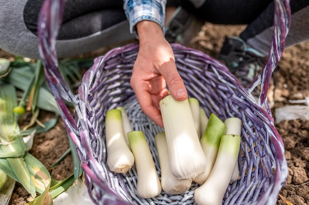 Foto sezione centrale di un uomo che tiene il cibo al mercato