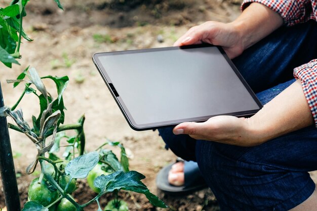 Photo midsection of man using mobile phone