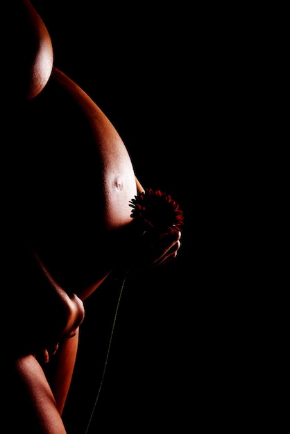 Foto sezione centrale di una donna incinta nuda che tiene in mano un fiore mentre sta in piedi contro uno sfondo nero