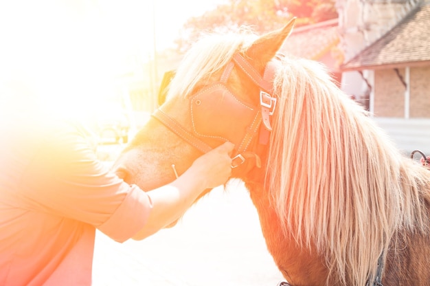 写真 馬の真ん中