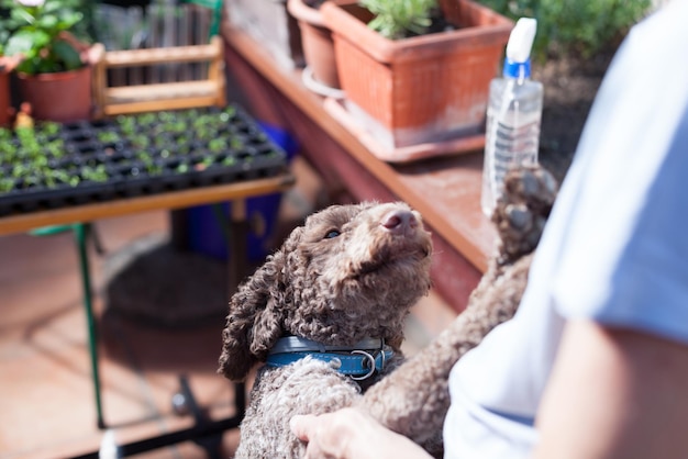 写真 犬と遊ぶ男の真ん中