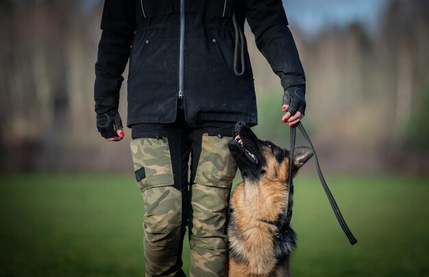 写真 外で立っている犬と男の中間部分