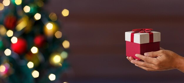 写真 クリスマスライトを握っている人の中間部分