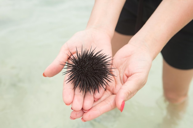 写真 海を握っている人の中間部分