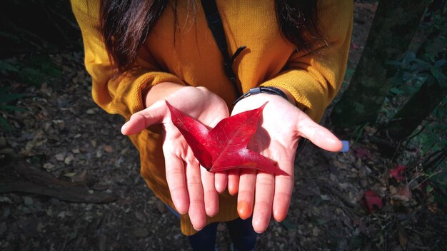 写真 葉を握っている女性の中央部分