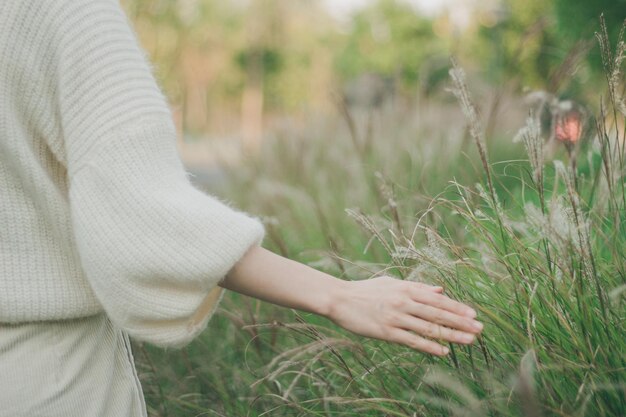 写真 女性の持つ植物の真ん中