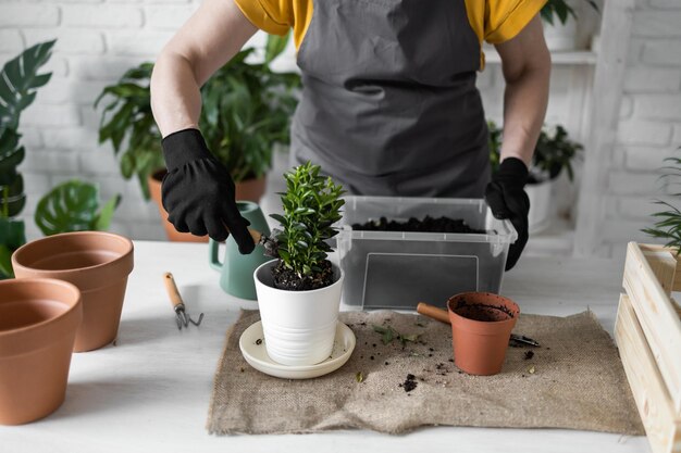 写真 鉢の植物を握っている女性の中間部分