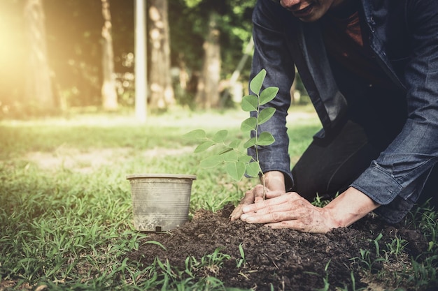 写真 公園の畑に植え付けている若者のミッドセクション