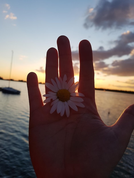 Photo midsection of person by sea against sky during sunset