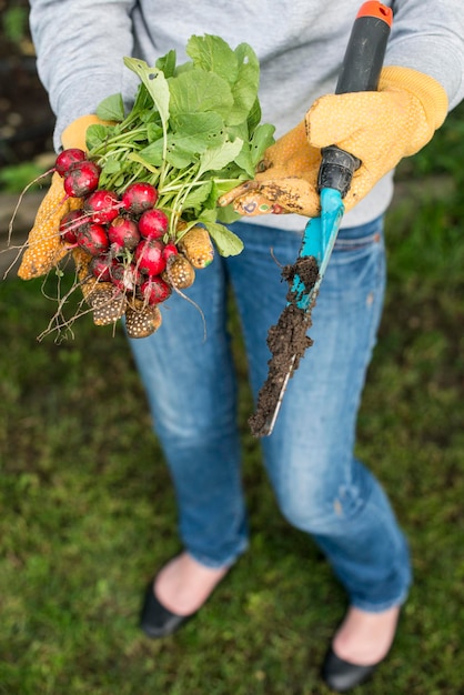 Photo midsection of person holding apple growing on field