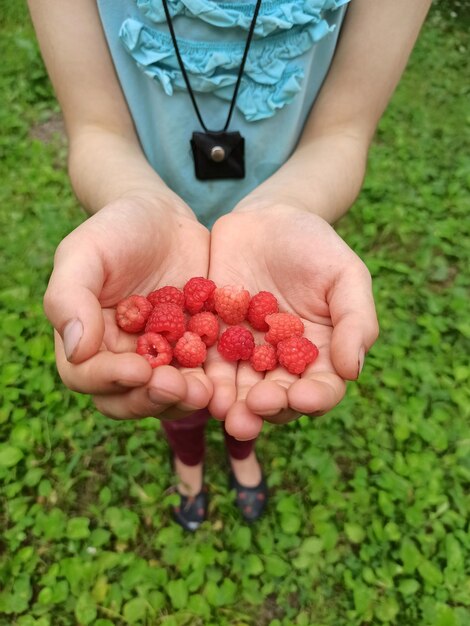 Midsection of person holding apple growing in field