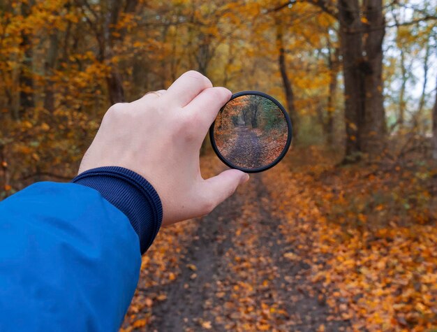 Foto sezione centrale di una persona che tiene una foglia d'autunno in foresta