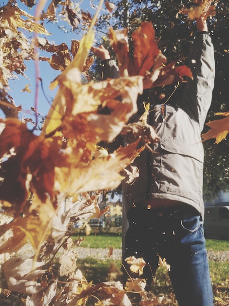 Foto sezione centrale di una persona che tiene le foglie durante l'autunno