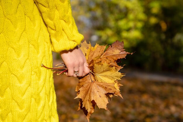 Midsection of person holding leaves while standing in forest