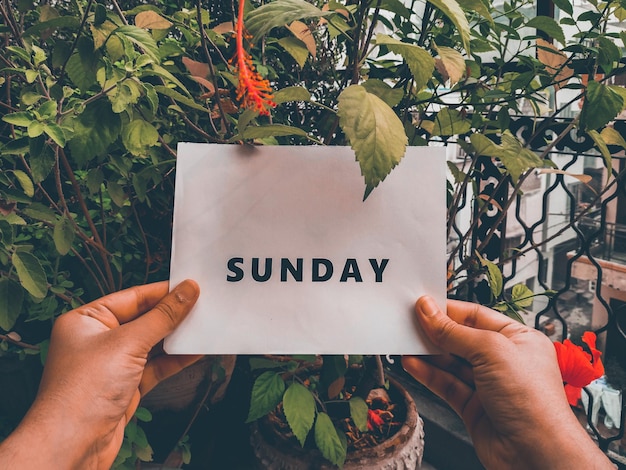 Photo midsection of person holding leaves with text