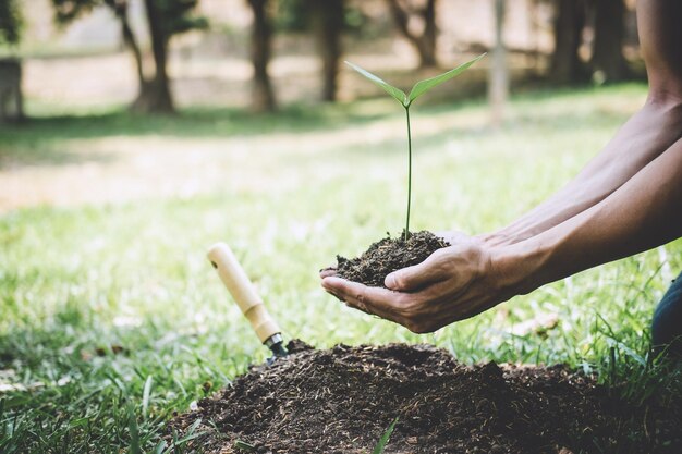 Photo midsection of person holding plant on field