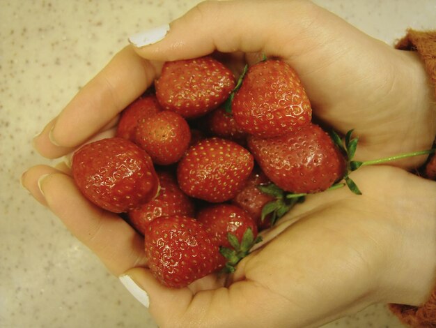 Midsection of person holding strawberries