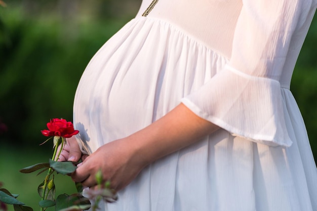 Photo midsection of pregnant woman standing by rose at park