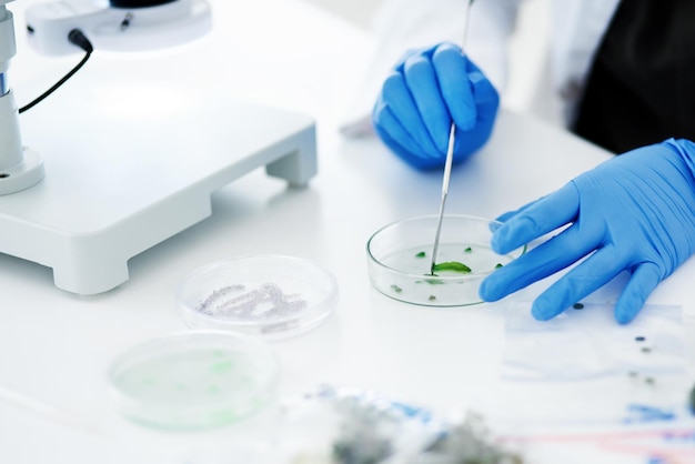 midsection of scientist examining chemical in laboratory