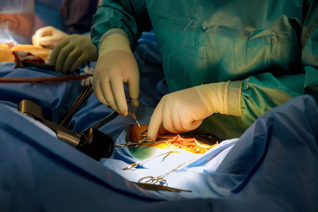 Midsection of surgeons operating patient