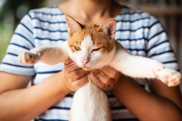 猫を背負っている女性の中央部分