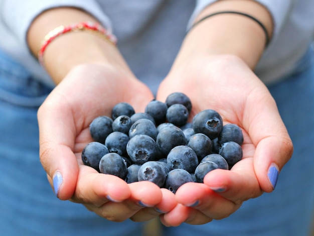 midsection of woman holding blueberries