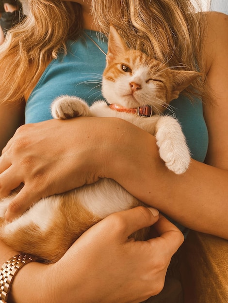 Foto sezione centrale di una donna che tiene un gatto