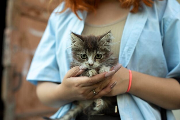 猫を抱いた女性の中間部分