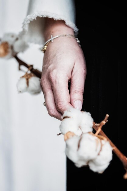 Midsection of woman holding cotton