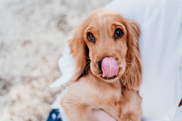 可愛い犬を抱いている女性の中間部分