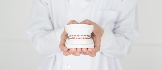 Midsection of woman holding dentures