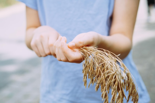 Photo midsection of woman holding ears of grass