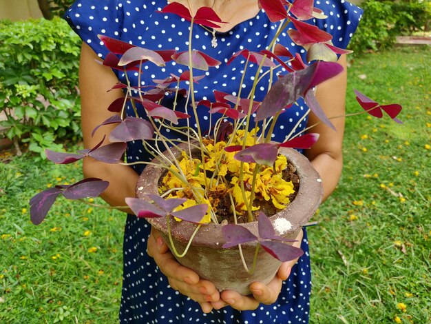 Midsection of woman holding flower on field