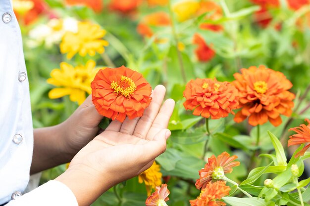 Photo midsection of woman holding flowering plant