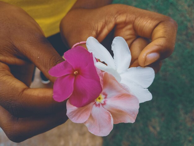 Photo midsection of woman holding flowers