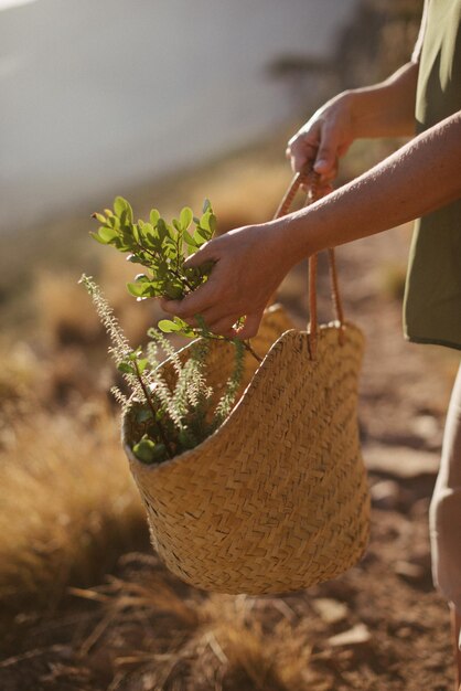 Photo midsection of woman holding herbs in basket outdoors