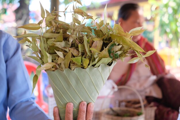 Photo midsection of woman holding leaves