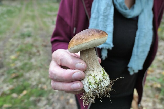 Photo midsection of woman holding mushroom