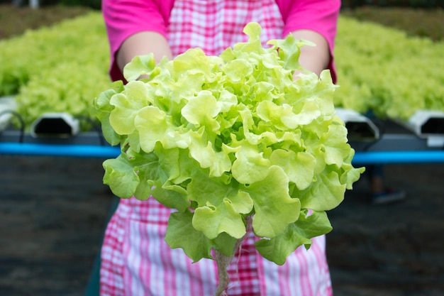女性の持つ植物の真ん中