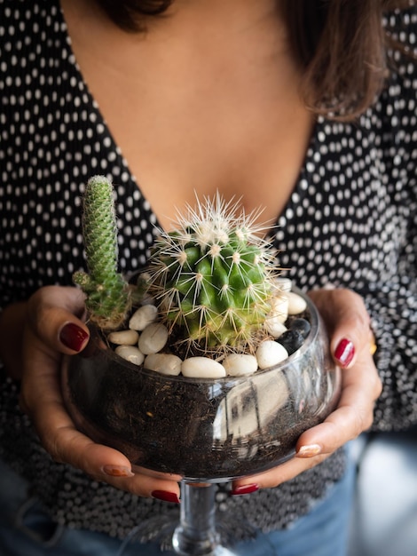 Foto sezione centrale di una donna che tiene una pianta succulenta