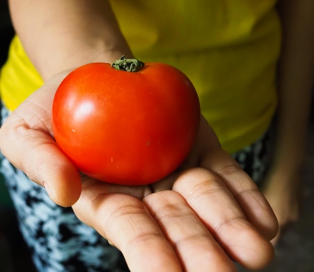 Foto sezione centrale di una donna che tiene un pomodoro